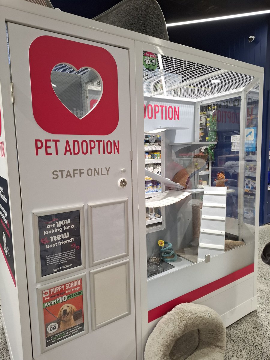 Atticus The Catticus. Xtreme sleeping Champion. tweet media