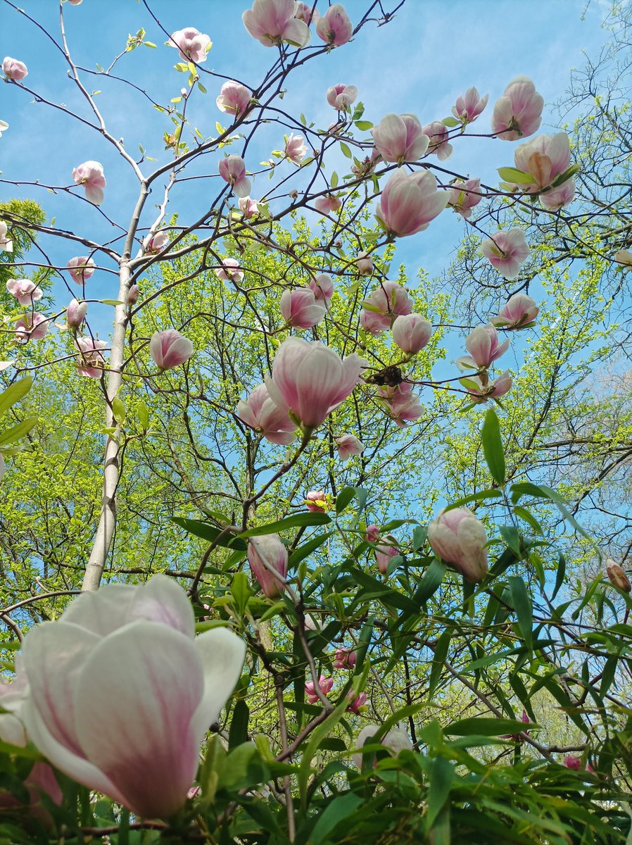 Bea 🌊 tweet media