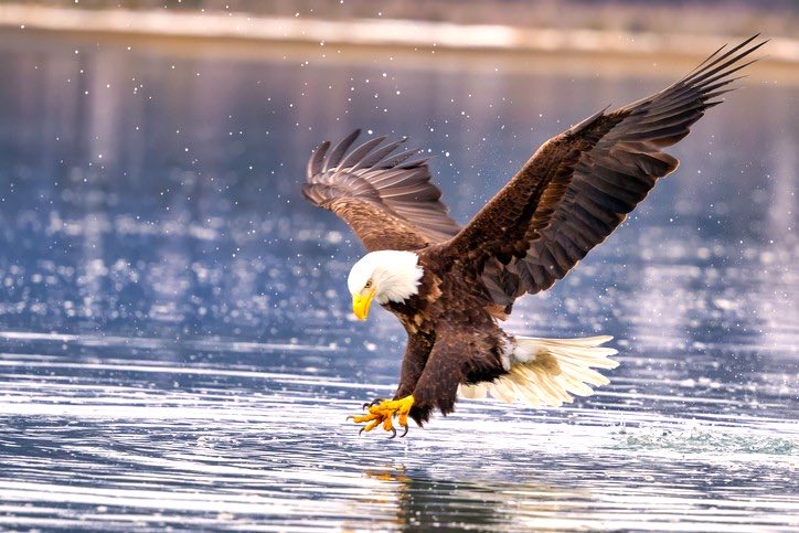 ムキデザ│グラフィックデザイナー tweet media