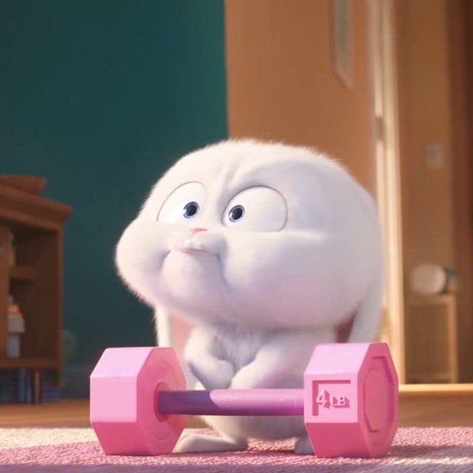 คุณหนูเขินอาย🌻🪥 ft.JK tweet media