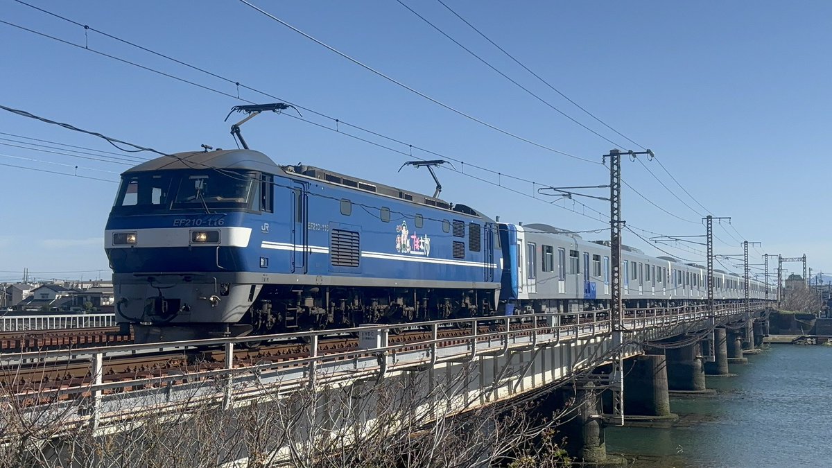 ろくご🐨🥁 tweet media