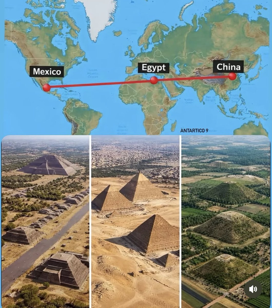 Олег Красносельцев tweet media