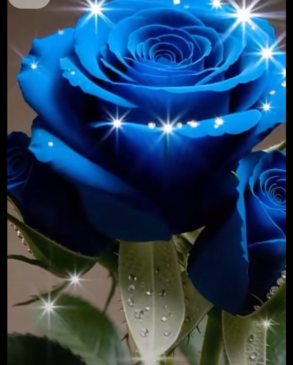 Nancy Horta tweet media