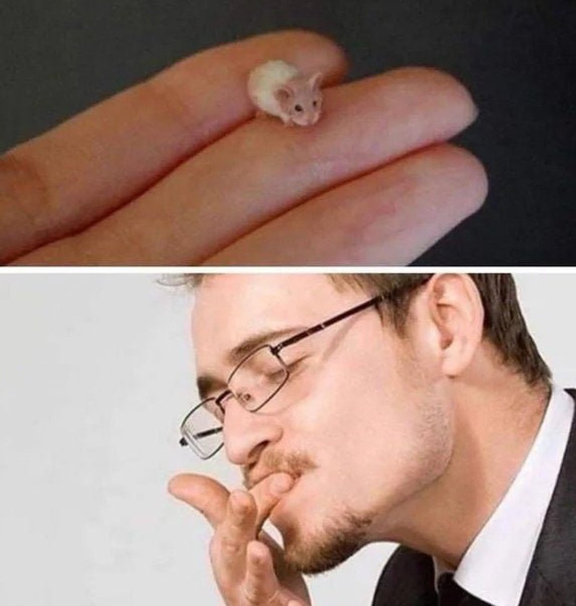 작음작음/ 커미션 tweet media