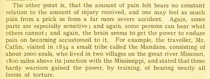 read_write_train tweet media