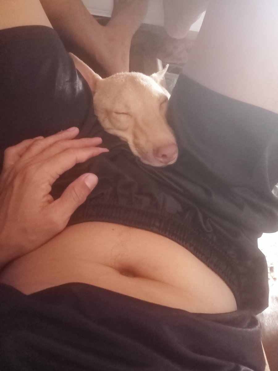 Daddy Finger tweet media