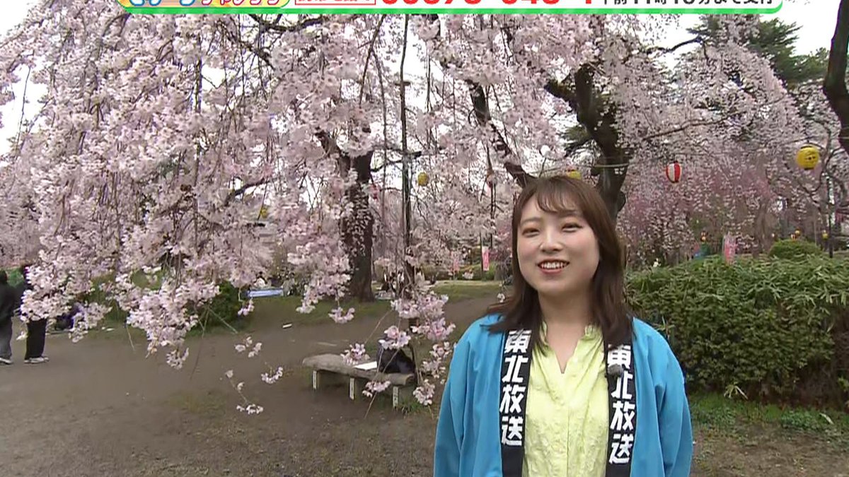 ウォッチン！スタッフ tweet media