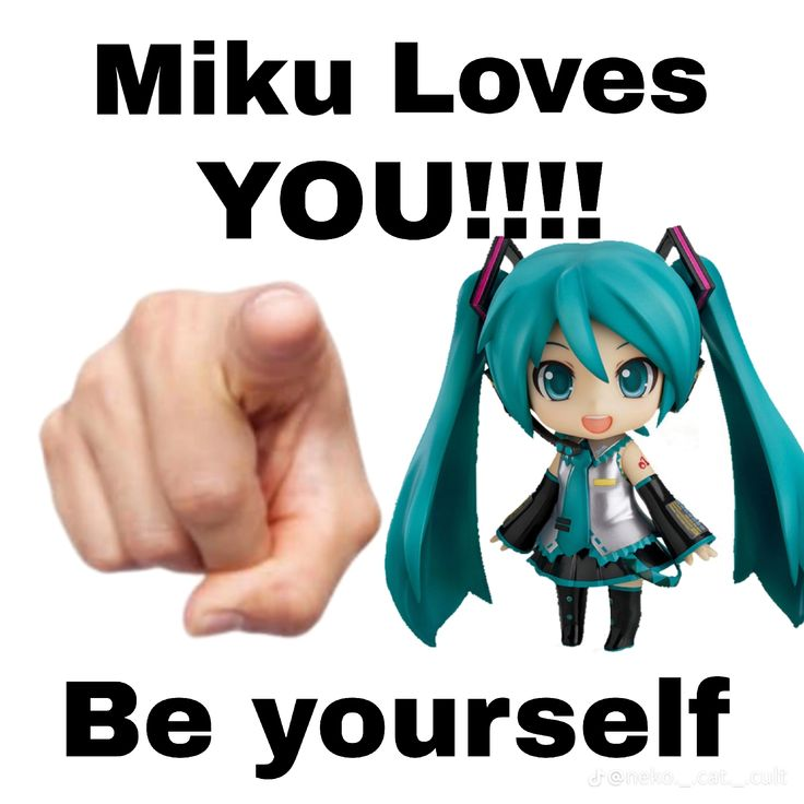 初音ミク tweet media