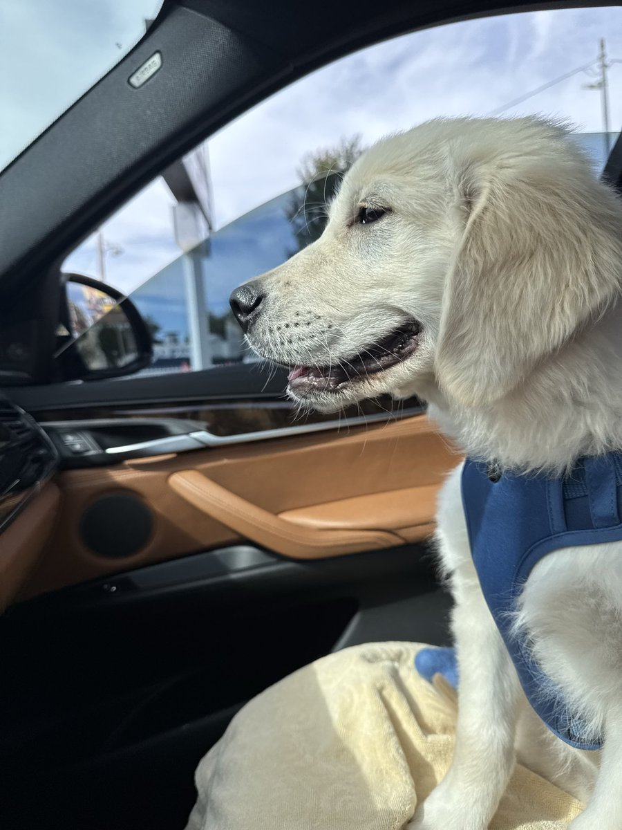 BryanManfull.eth tweet media