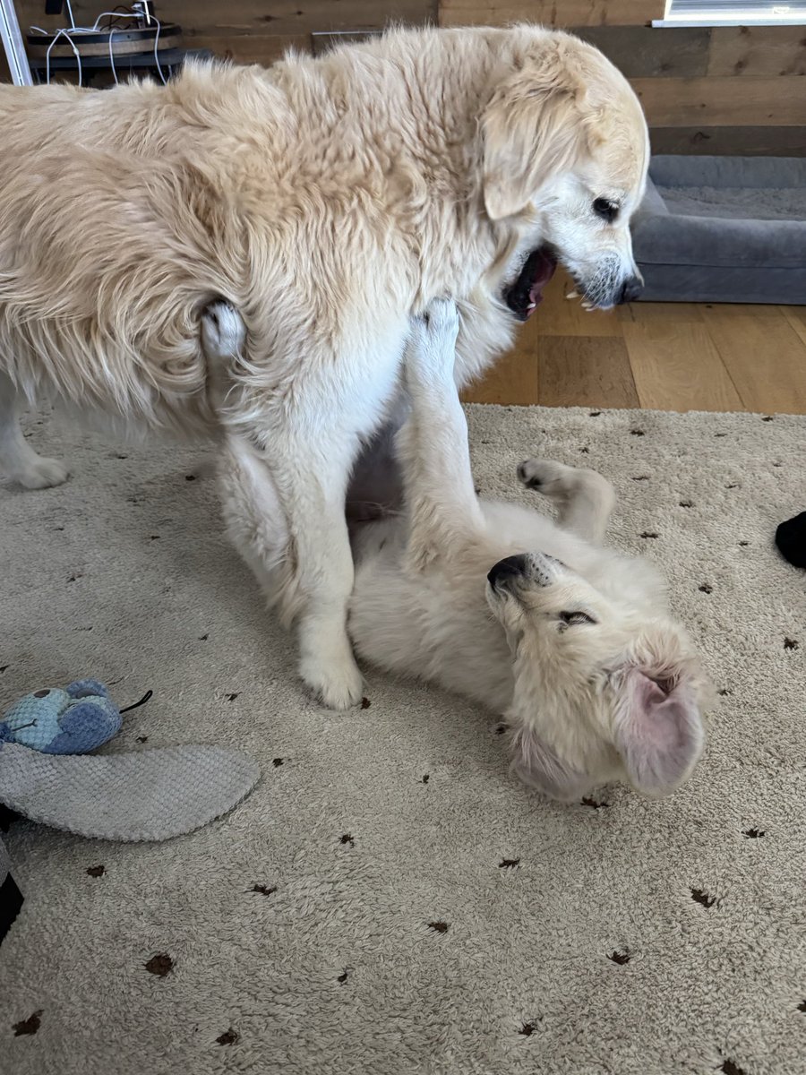 BryanManfull.eth tweet media