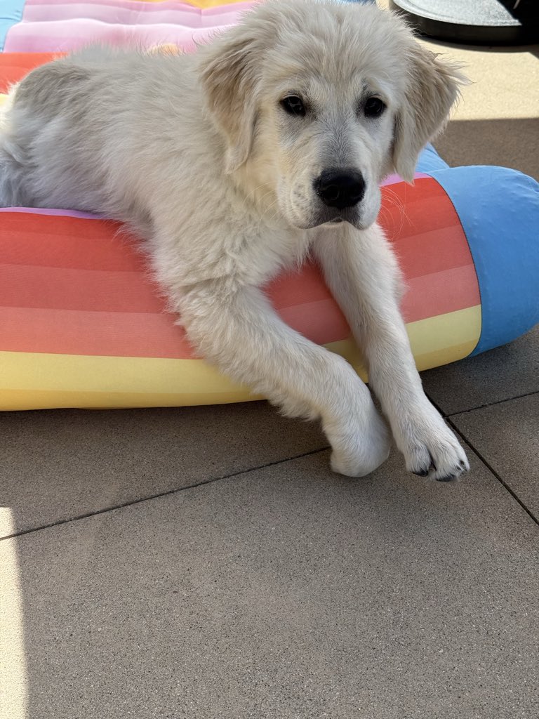 BryanManfull.eth tweet media