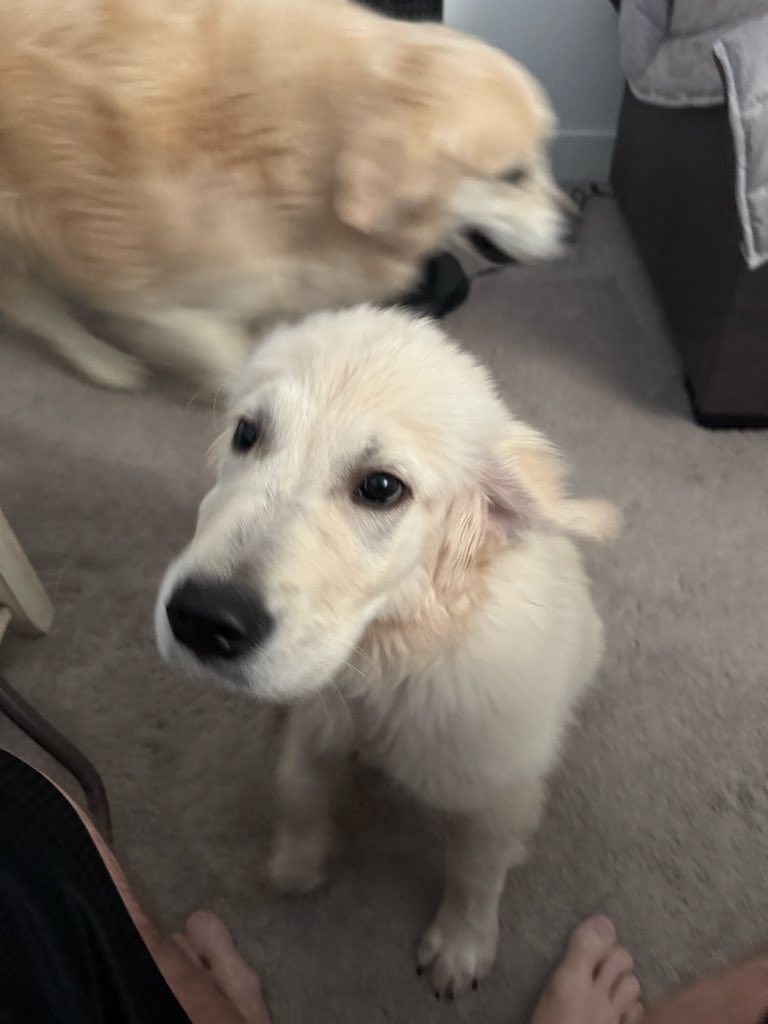 BryanManfull.eth tweet media