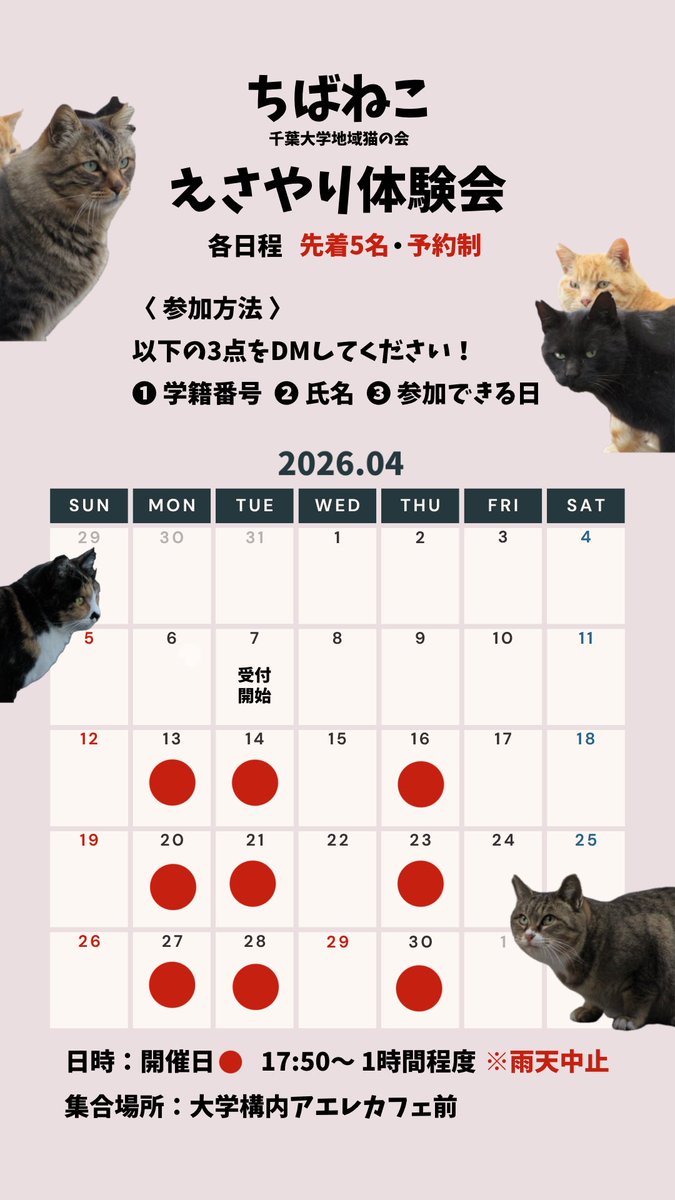 体験会募集開始しました！
DMお待ちしております！