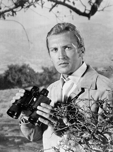 CasaPolimata's tweet photo. #Divos en blanco y negro 
Roy Thinnes 🎩 
6 de abril de 1938

Felices 88 años, David Vincent! 🛸👽
#TheInvaders
#retroseries https://t.co/pd52To0VPG