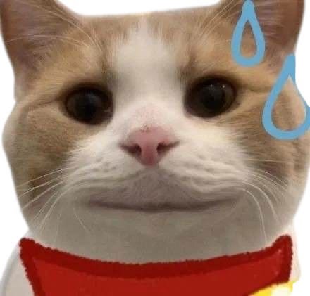 ًquackquack⁷ tweet media