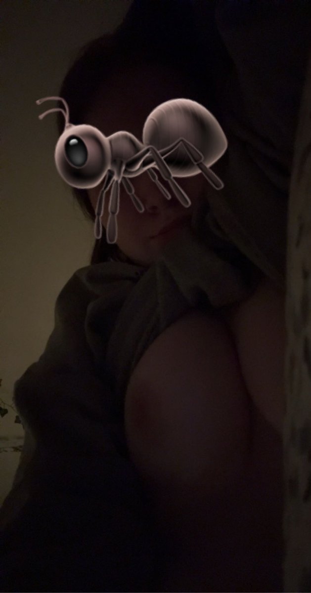 lil 🪷 tweet media