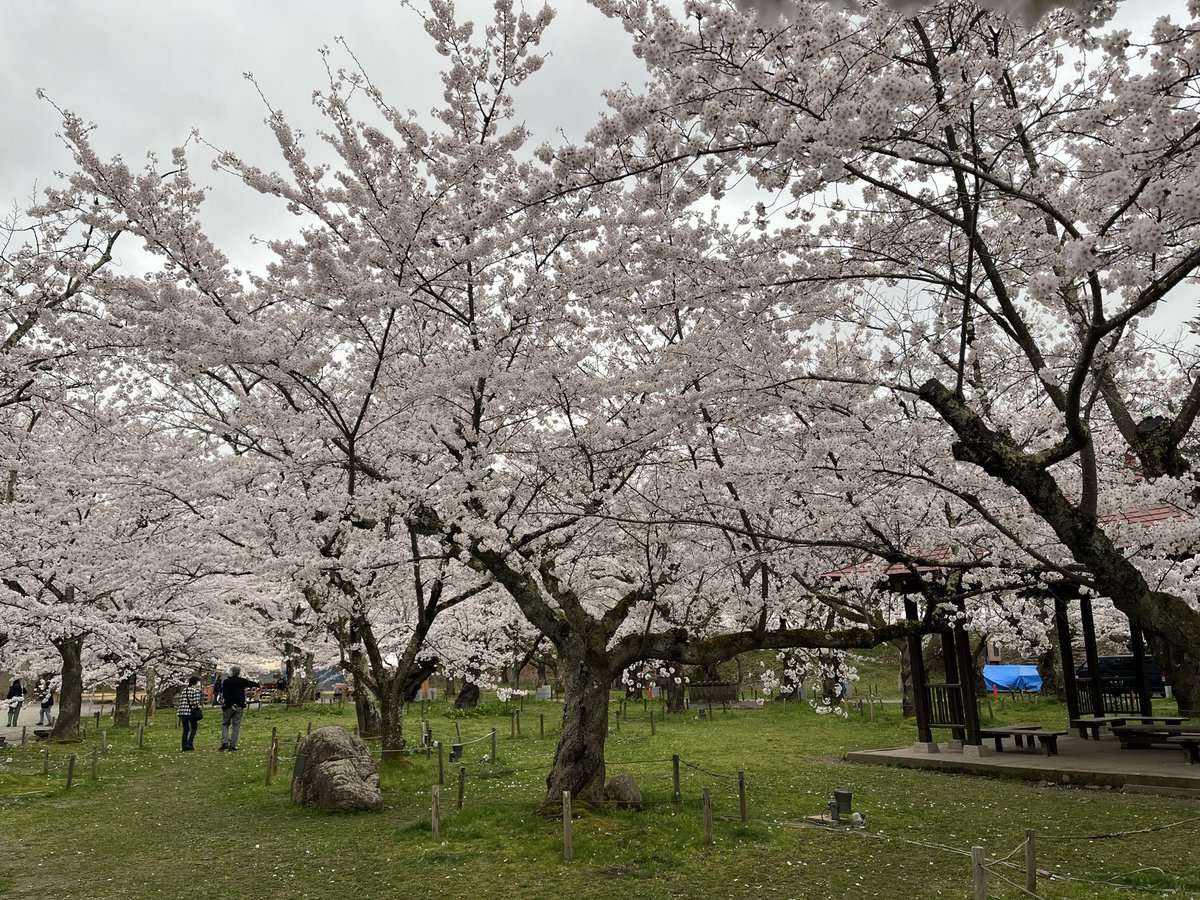 会津若松市観光課【公式】 tweet media