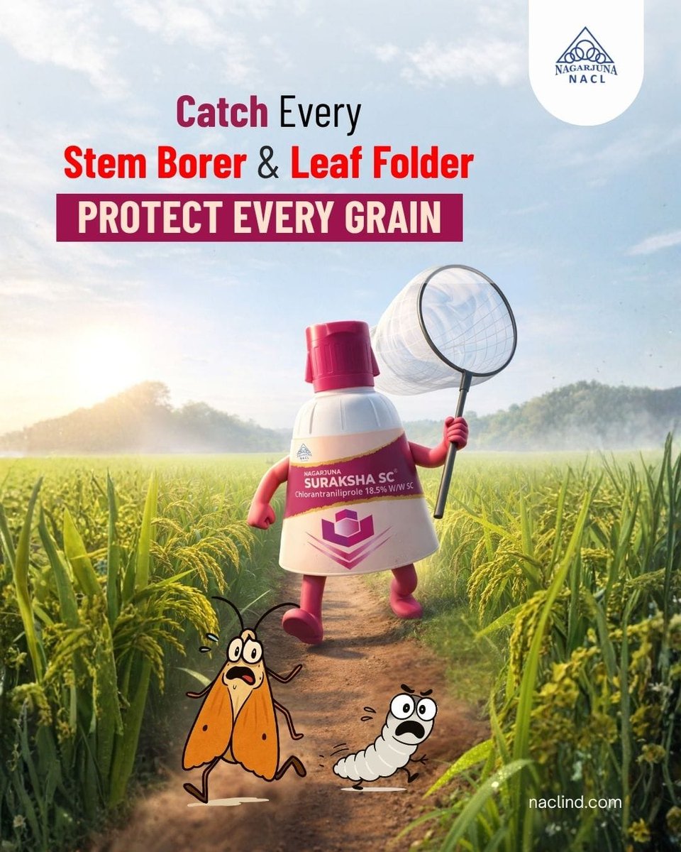 NaclIndLtd's tweet image. Stem borers &amp;amp; leaf folders attack from within 🌾 Suraksha SC penetrates deep to eliminate hidden pests and protect your yield. Secure your harvest today. 🛡️ #CropProtection #PaddyFarming