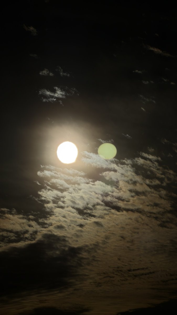 Explorer tweet media