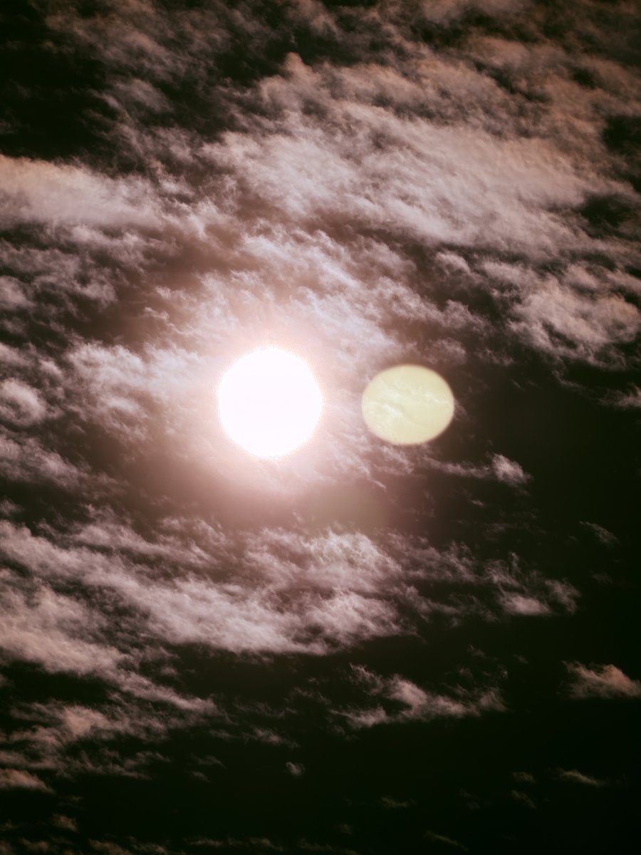 Explorer tweet media