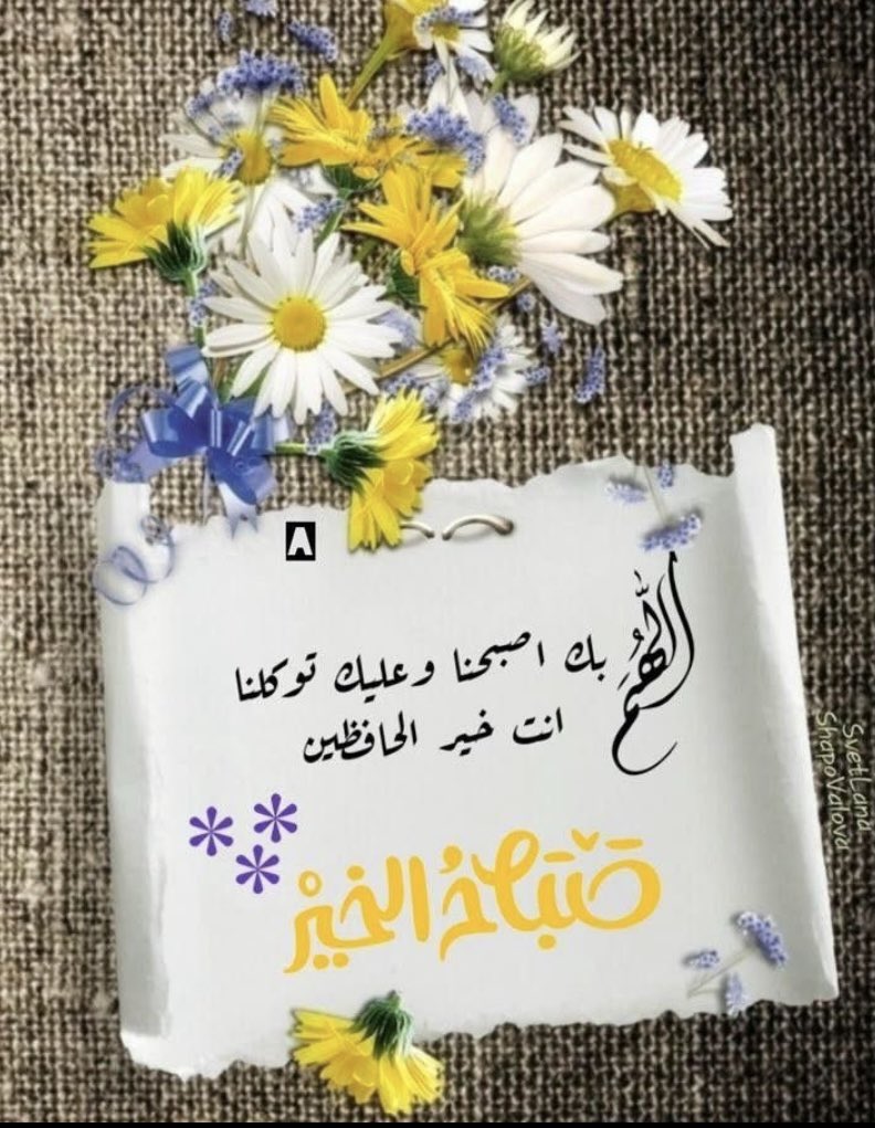 استثنائيه 💛 tweet media