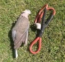 LynneM 💕💝💎 tweet media