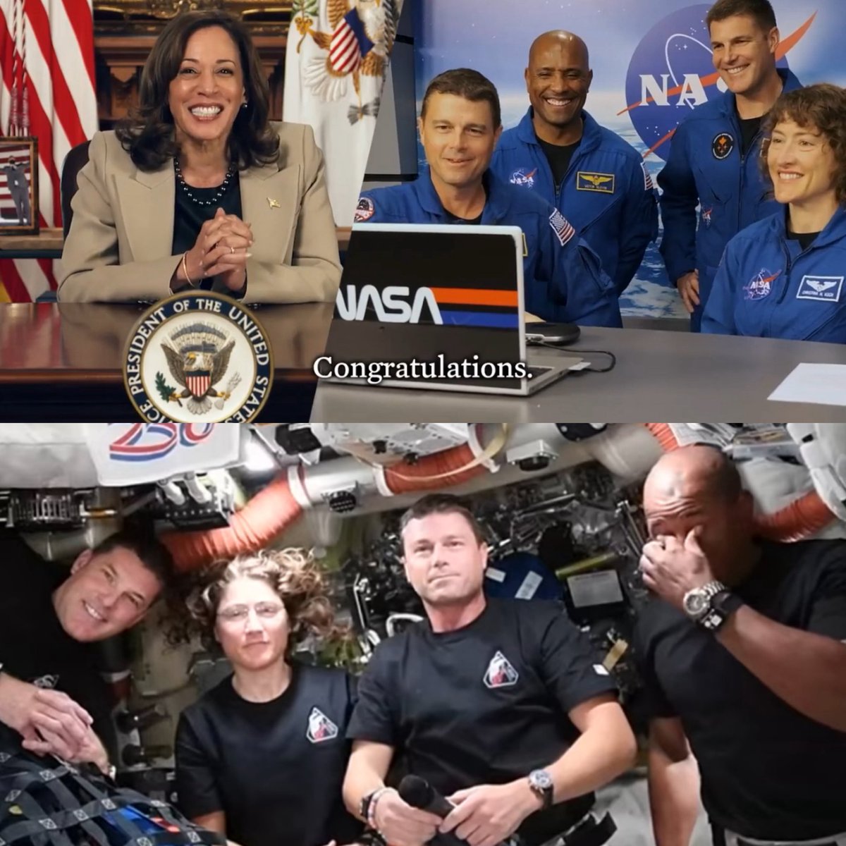 project hail dado ⚢ tweet media