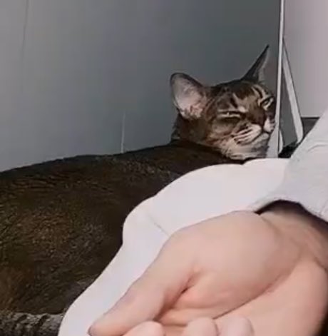 พี่จ่าดอ.(slow) tweet media