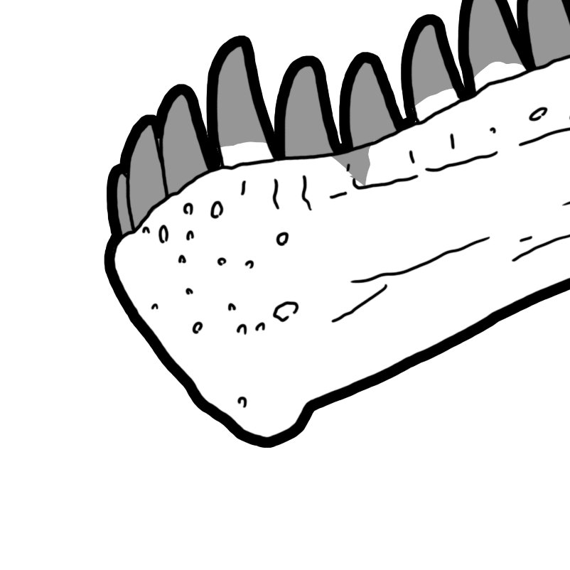 Aberrantyrannus tweet media