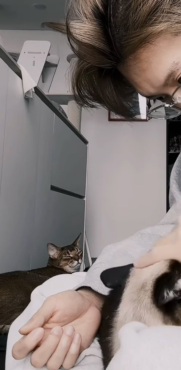 🌻 LITTLE b 🍀 tweet media