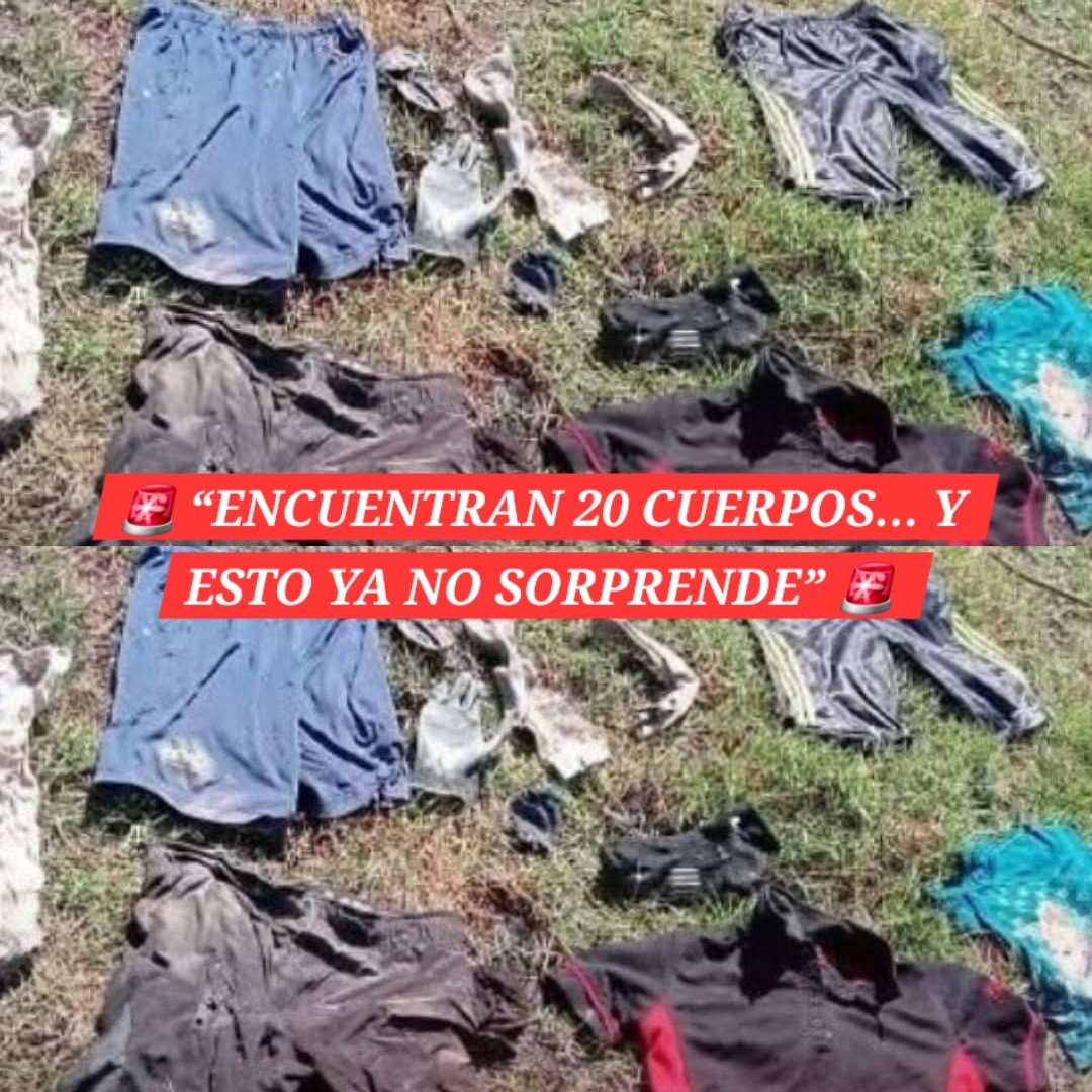 Que pena que esto se esté normalizando 😢
Madres buscadoras, junto con la Fiscalía de Guanajuato, confirmaron el hallazgo de 20 cu3rpos en fosas clandestinas en Cortazar.
De ellos, 14 ya han sido identificados.
Una cifra que debería paralizar al país… pero que para muchos,