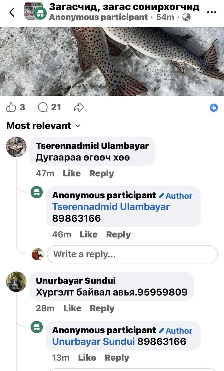 Хангай Базар tweet media