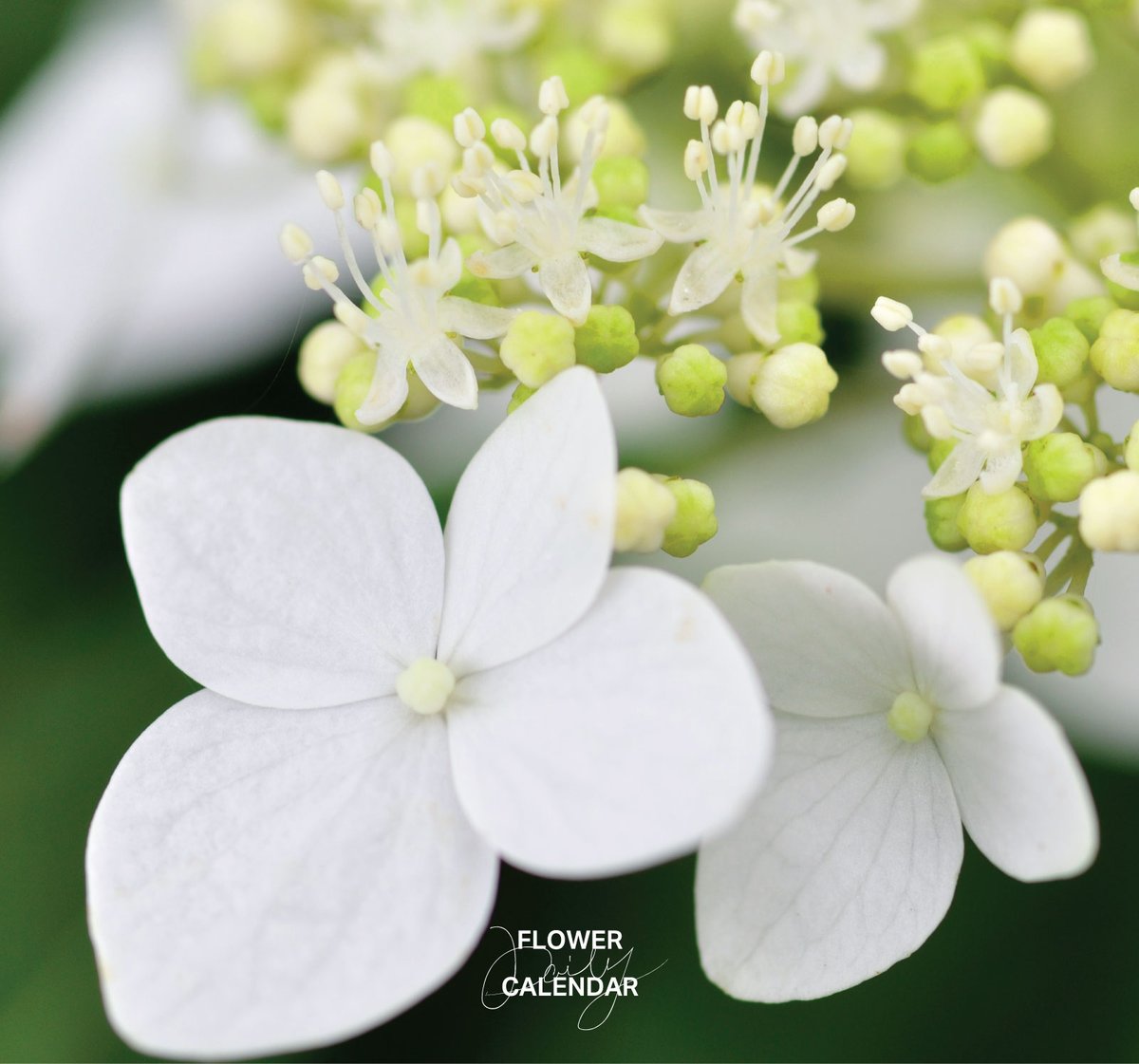 暦生活 tweet media