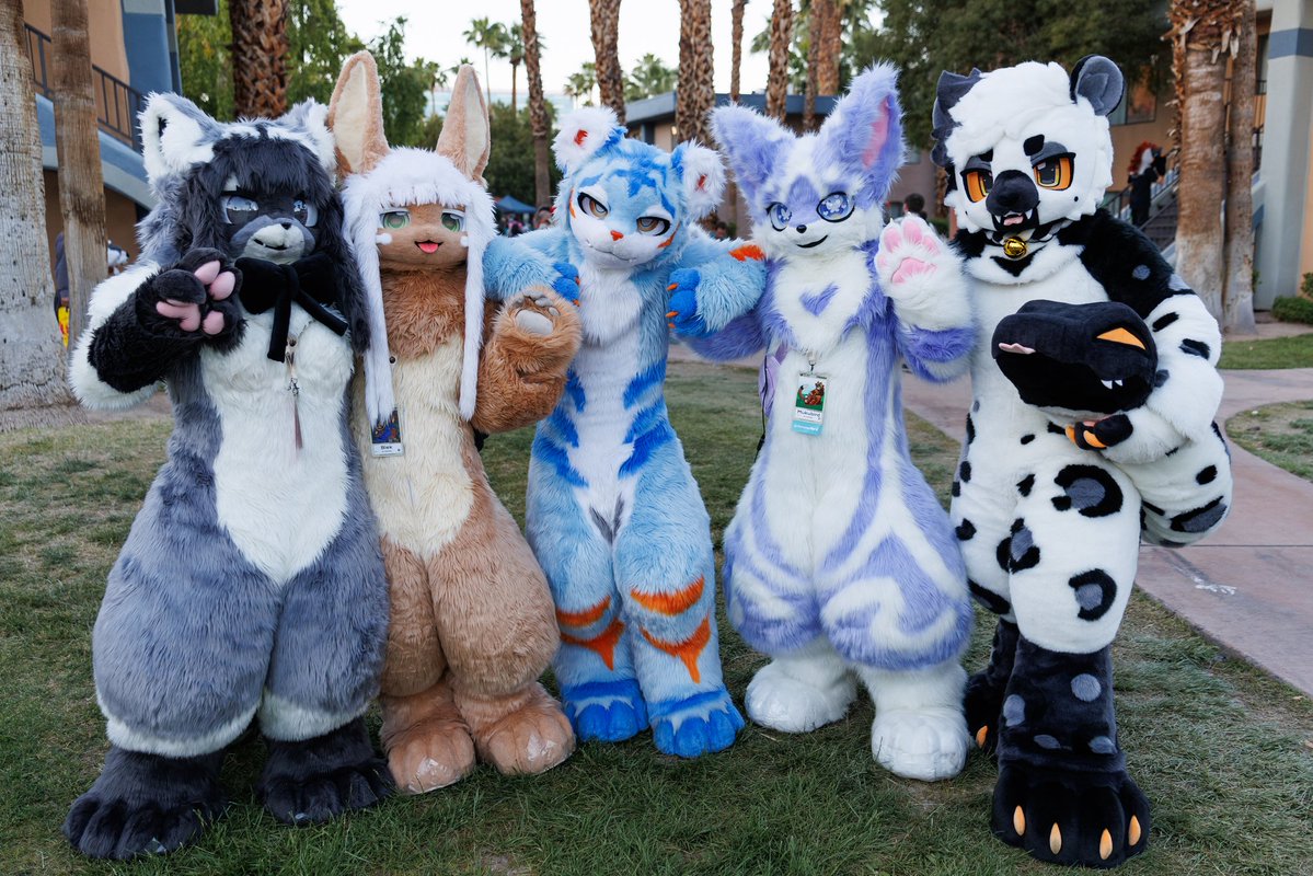 Spacey 》Lvfc, Fwa tweet media