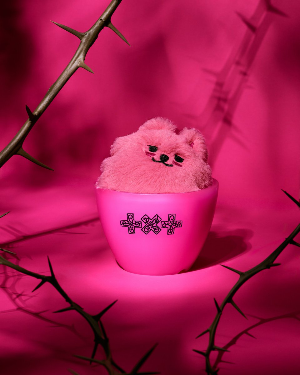 SO WHAT? tweet media