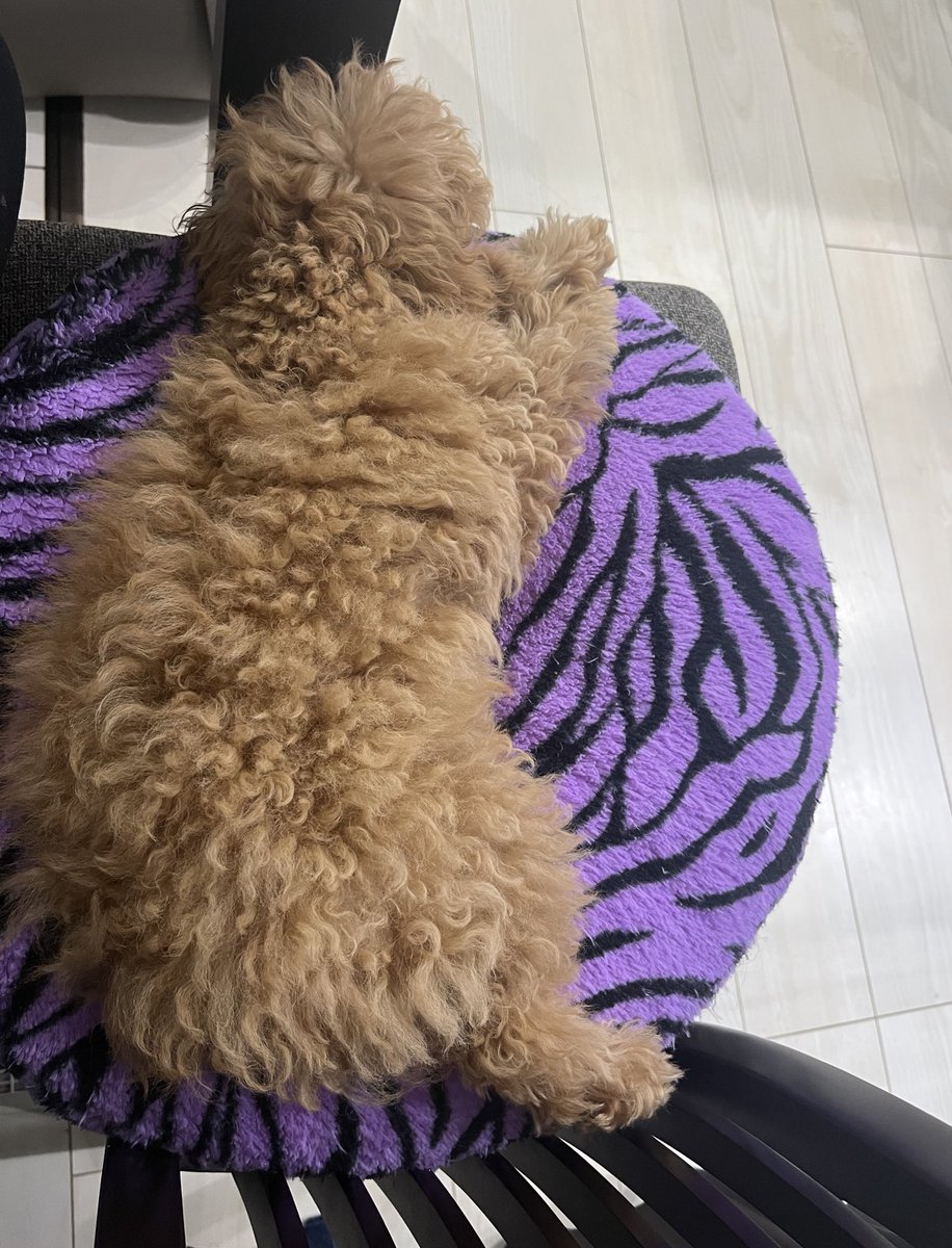 はみぃ🦊 【討伐隊B】 tweet media