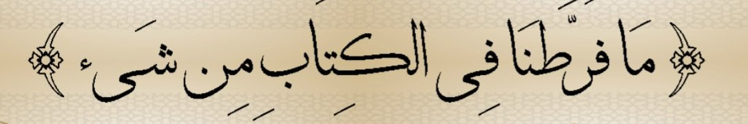 𝓂𝒶𝓃𝒶𝒻 CR7 tweet media