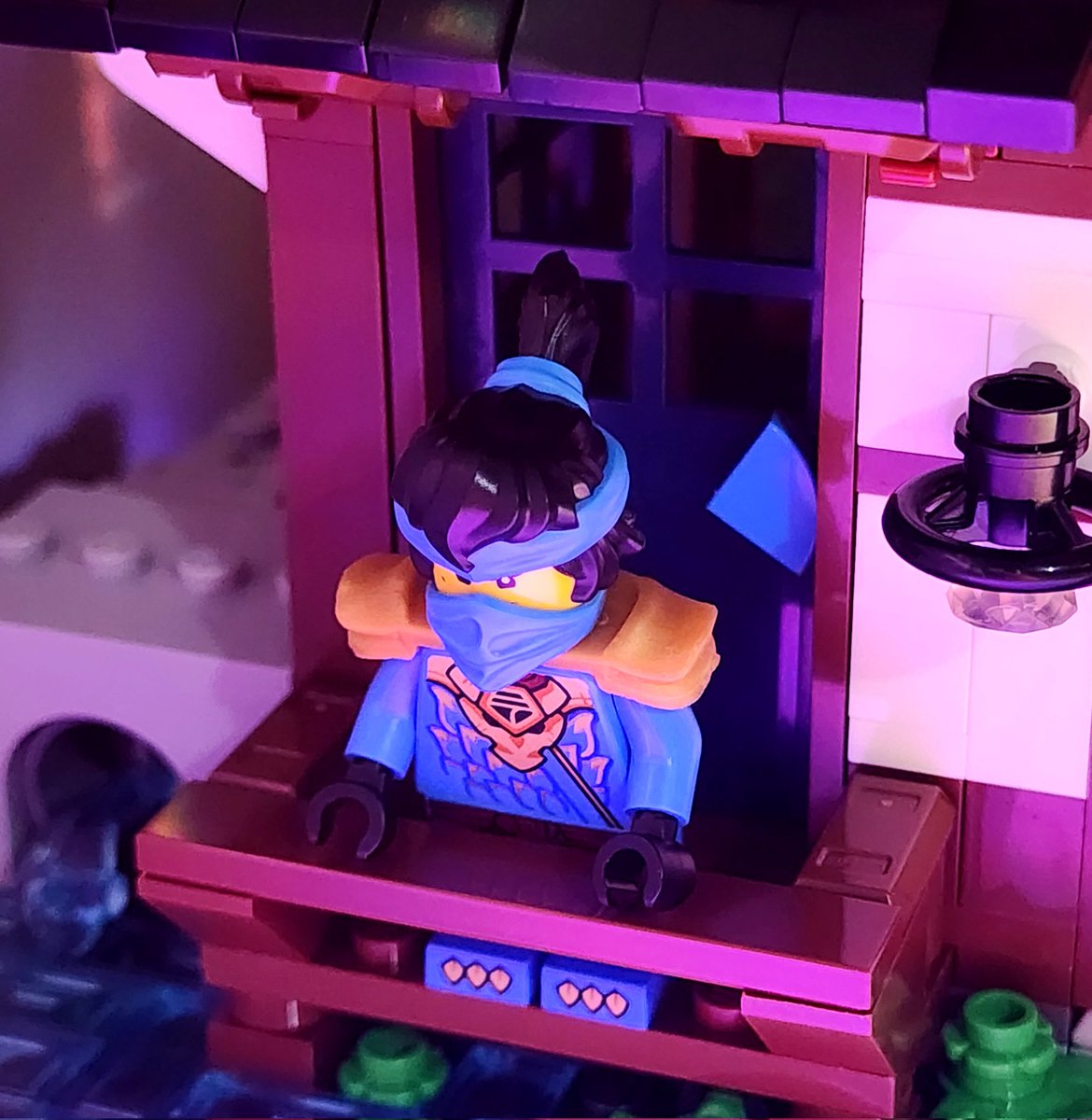 I recently rebuilt the ninjago city gardens and am loving it more than i did when i originally got it 😊