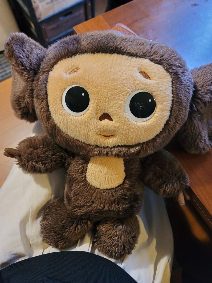 helico/ヘリコ tweet media