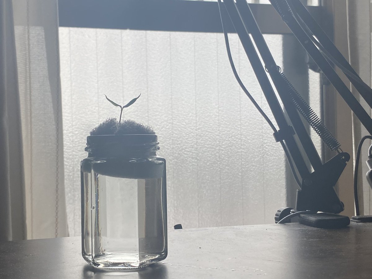 ミニ背景部 tweet media