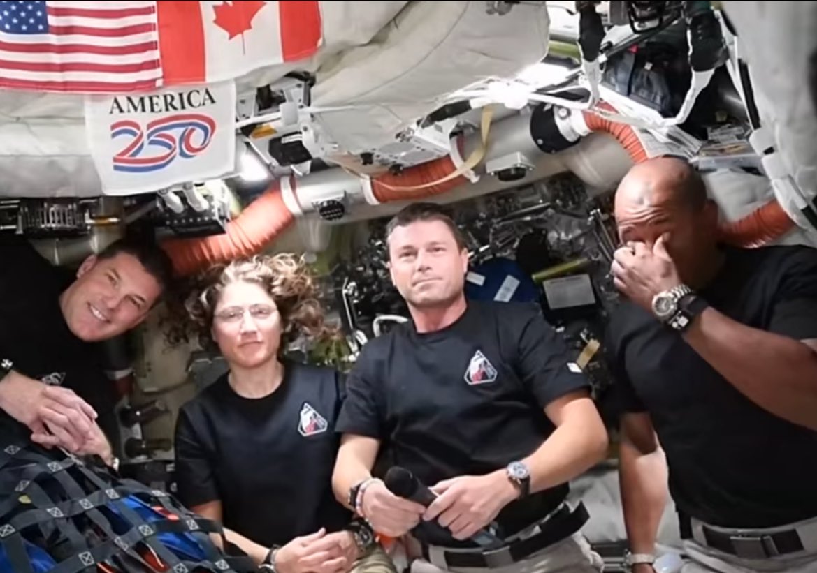 project hail dado ⚢ tweet media