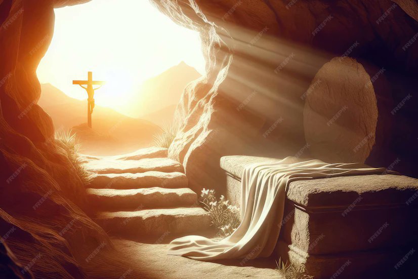 CatGirl Kulak 😻😿 (Anarchonomicon) tweet media