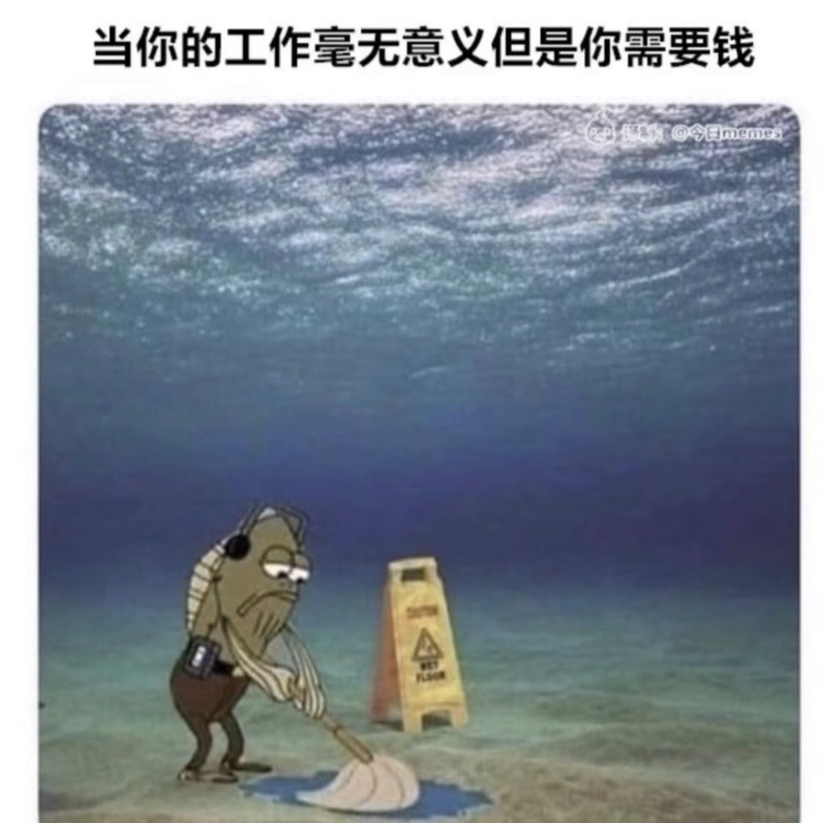 禿道道🐟 tweet media