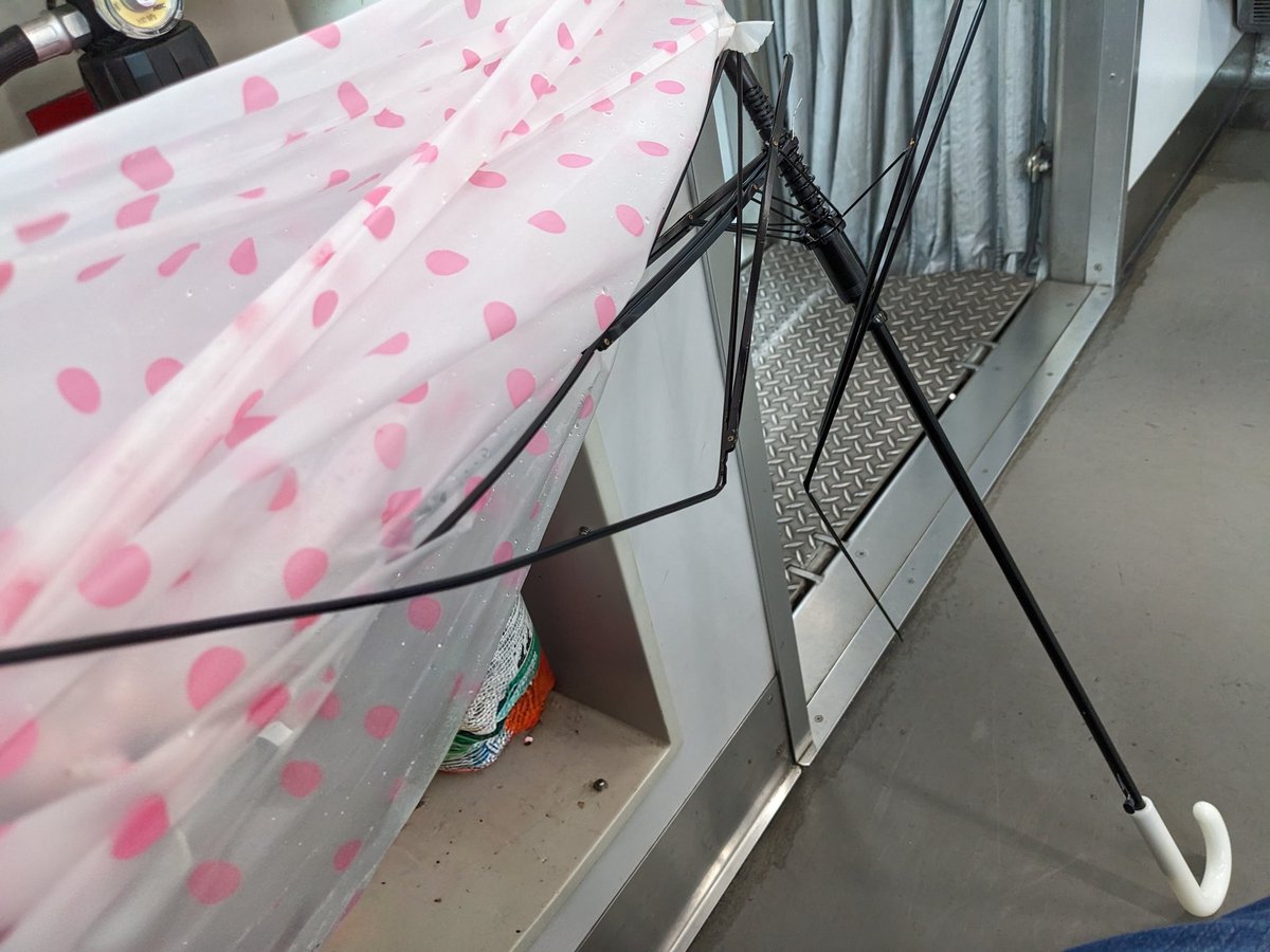 伽羅(≡^.^≡)𝐗にゃ tweet media