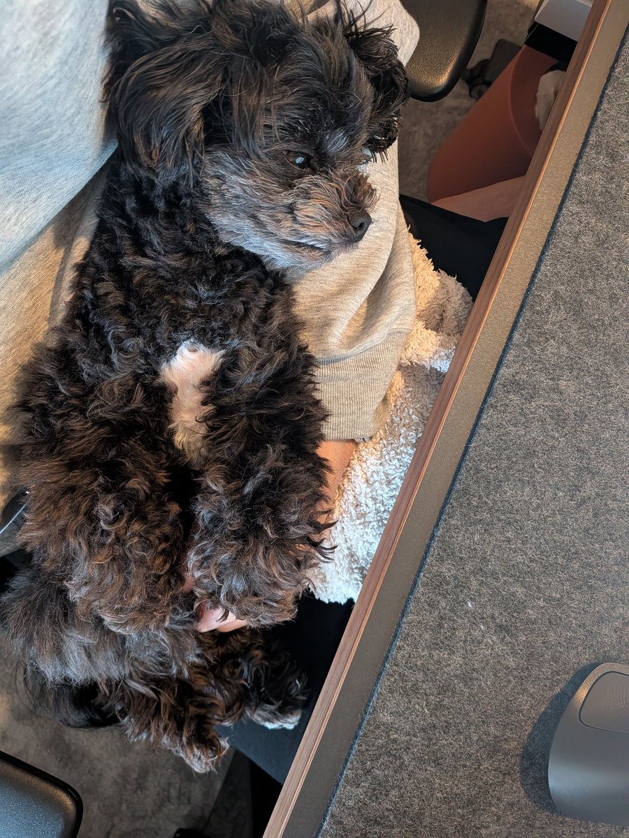 Nico 城之内 Loire tweet media