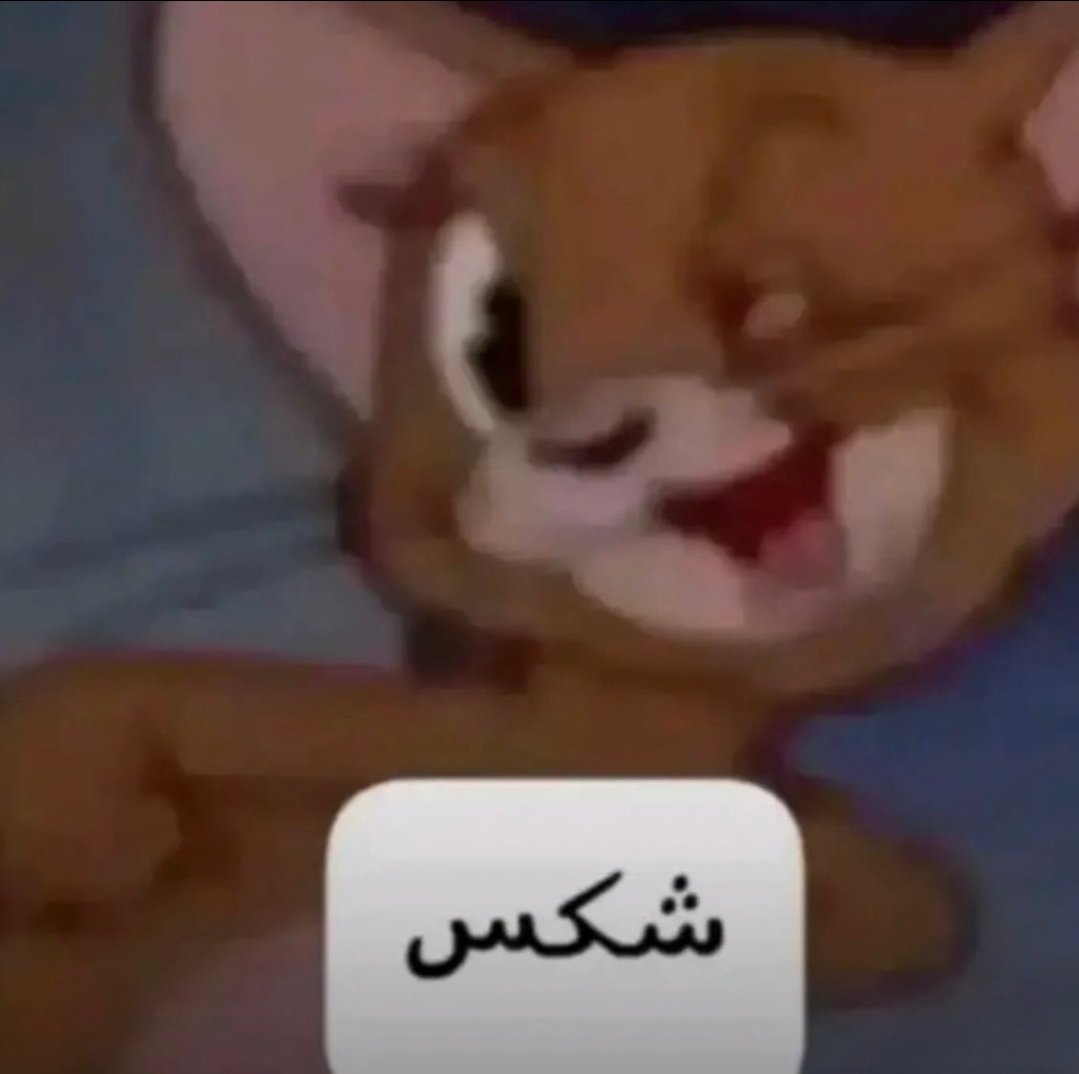 Tayfa 🪻(طَيْفَـةٌ) tweet media