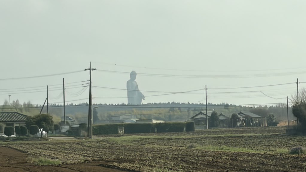 ラミト- tweet media