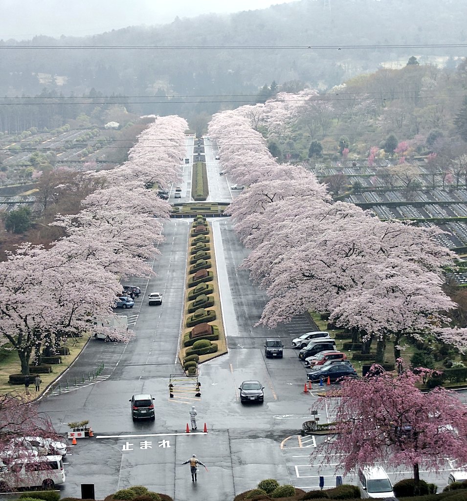 🇯🇵🍵🗻🍍ななし@若月推し ◢͟￨⁴⁶★ JQ2KPP /フジNZ46 tweet media