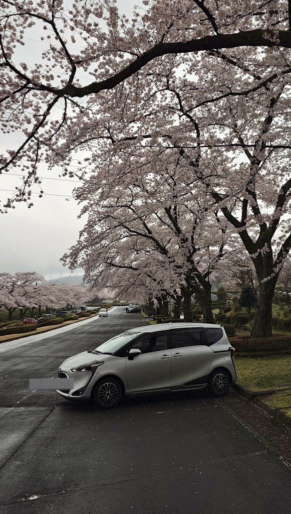 🇯🇵🍵🗻🍍ななし@若月推し ◢͟￨⁴⁶★ JQ2KPP /フジNZ46 tweet media