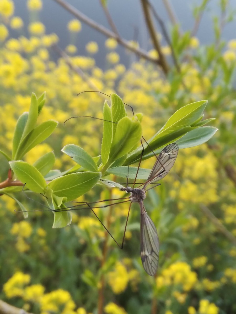 Alejandro Ortiz M. tweet media